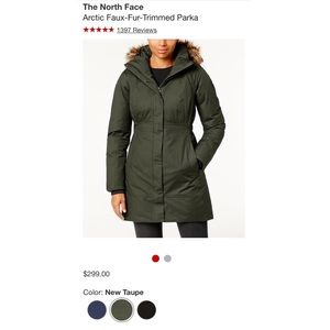 LIKE NEW | North Face Down Parka/Coat